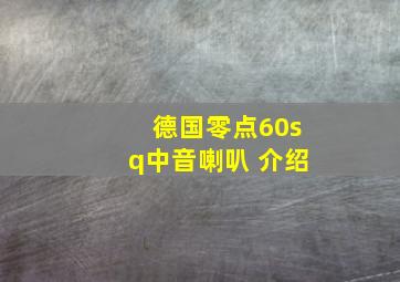 德国零点60sq中音喇叭 介绍